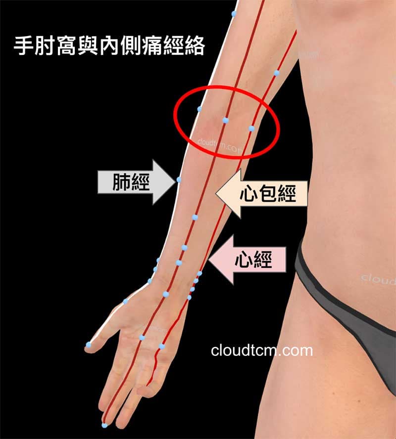 手肘窩與內側痛與手三陰經密切相關