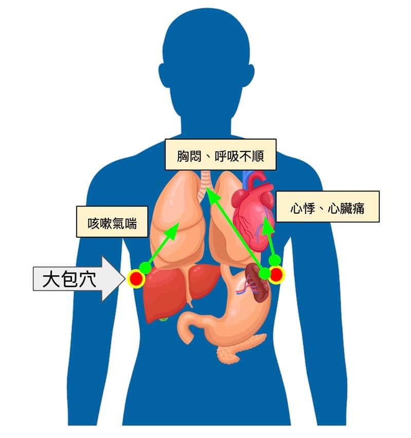 大包穴阻塞會影響到胸部的臟腑運行