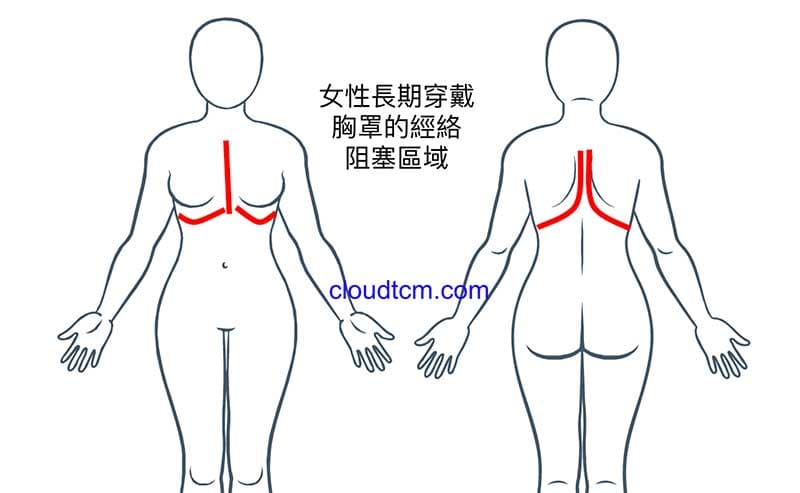 女性長期穿胸罩容易造成紅色部位經絡氣血阻塞