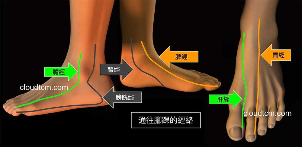 腳踝的外側、內側與後側自然疼痛，大多數源自於體內寒氣