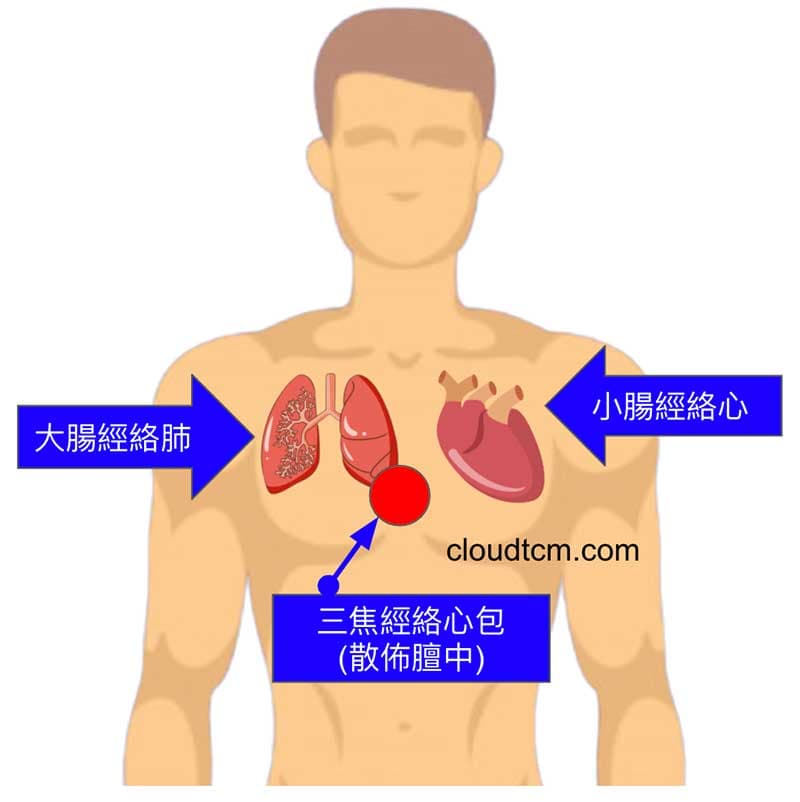 手三陽經異常，也會造成胸部心肺相關疾病