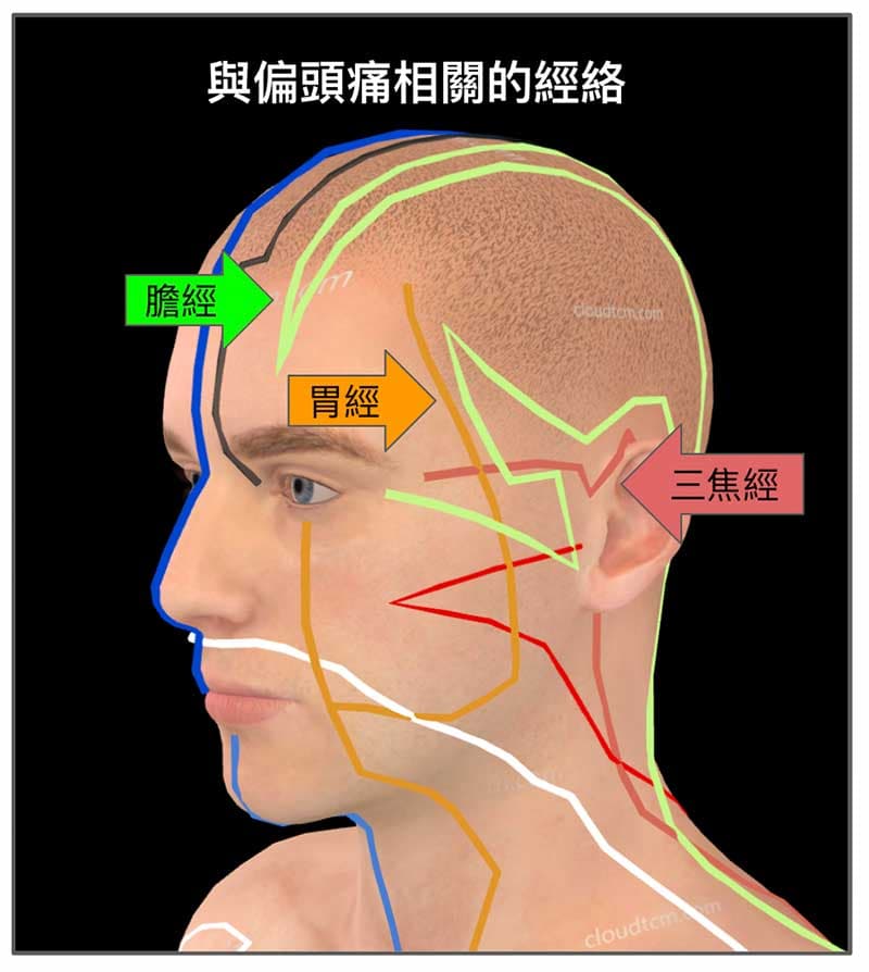 從3D銅人看通往側邊頭部的經絡(膽經,胃經,三焦經)