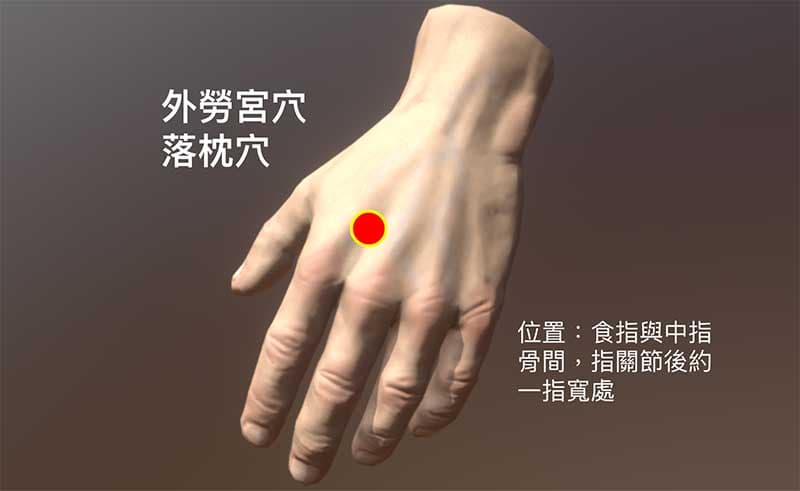 外勞宮位於食指與中指骨間，指關節後約一指寬處