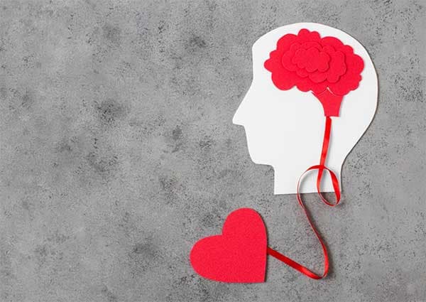 科學家發現大腦與心臟之間具有神秘關聯