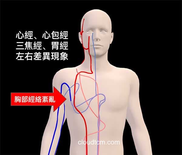 3D呈現心經、心包經、三焦經與胃經的左右差異現象