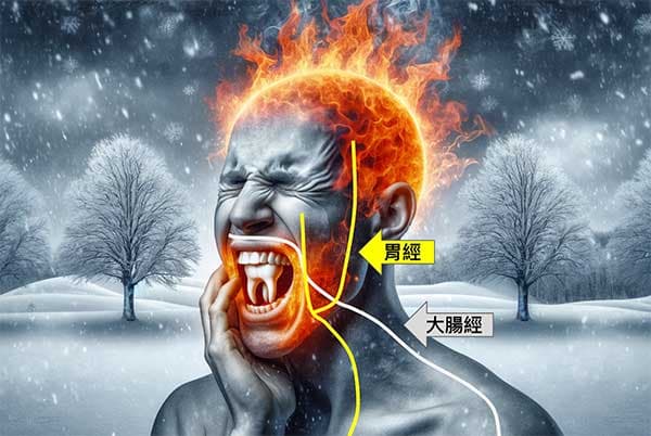 陽明經火氣大時會出現牙痛、牙齦腫脹