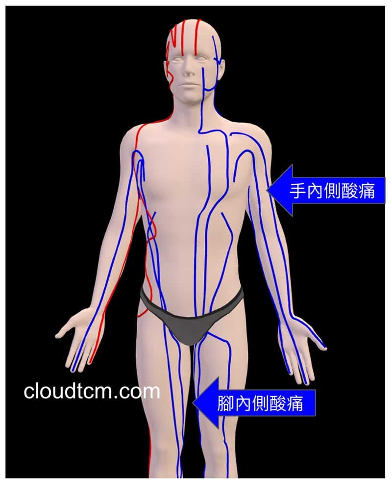 運用3D模式可以清楚看到自己的疼痛位置與經絡